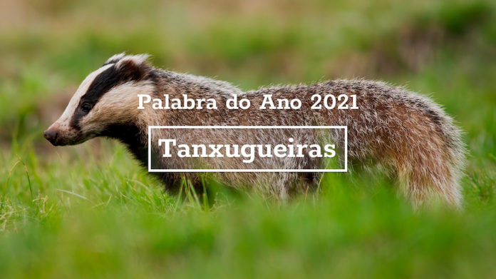 A palabra do ano 2021, escollida polas usuarias do Portal das Palabras. Foto: Real Academia Galega