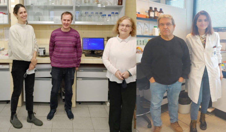 Galician researchers design a vaccine against Covid-19 in yeasts