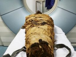 Un equipo de científicos recrea a voz dunha momia de 3.000 anos.