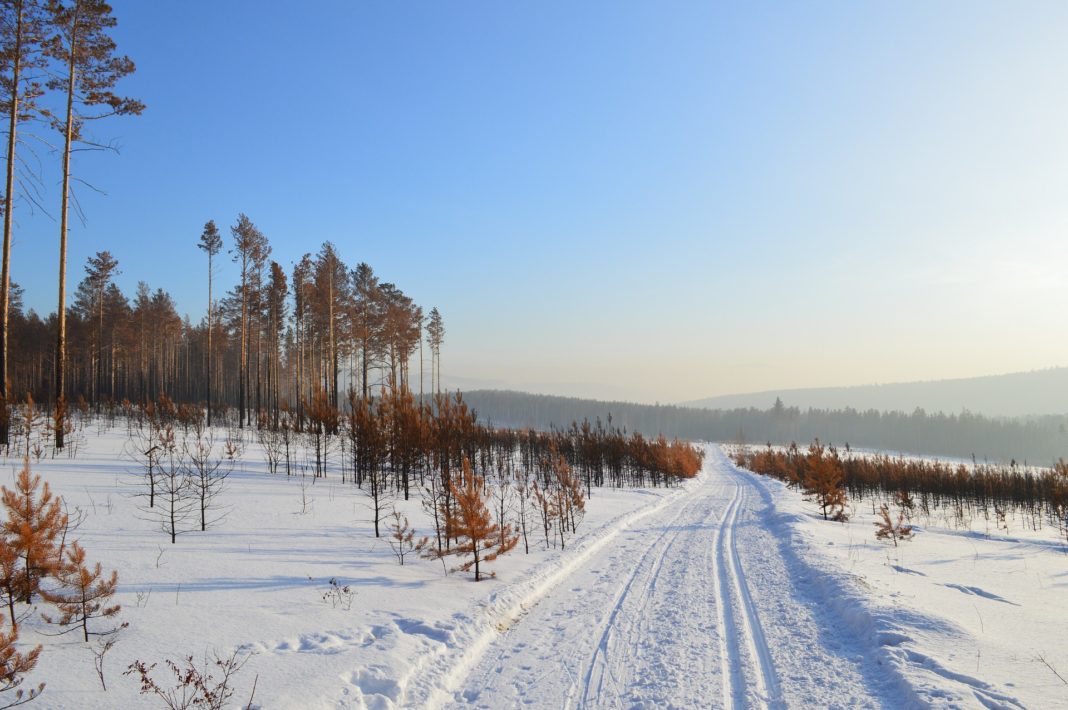 O permafrost Yedoma abrangue unha ampla extensión de Siberia. 