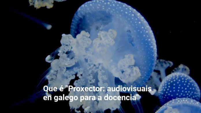 Proxector é un repositorio con 600 vídeos en galego.
