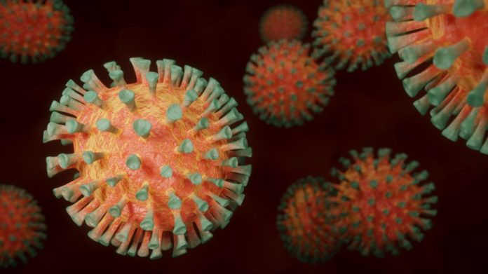 A pandemia parece ter provocado un comportamento pouco usual en virus xa coñecidos. 
