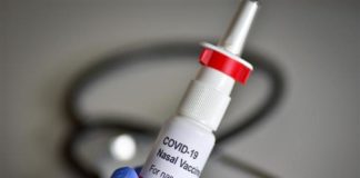 As vacinas nasais evitarían a reproducción do virus nas vías respiratorias altas
