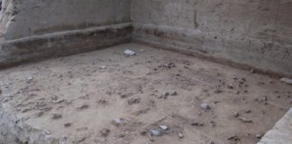 Excavación dunha superficie de 40.000 años de antigüidade en Xiamabei, que amosa a distribución de fragmentos de ósos e ferramentas de pedra. Foto: Fa-Gang Wang