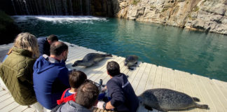 Un grupo de nenos e un monitor dan de comer ás focas no Aquarium Finisterrae.