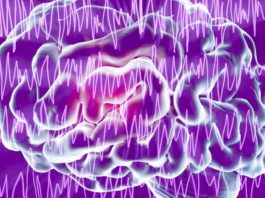 Uns 50 millóns de persoas no mundo, segundo a OMS, e unhas 350.000 en España, padecen epilepsia.