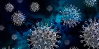 A inmunidade ante os virus varía coa idade e o estado nutricional, entre outros factores.