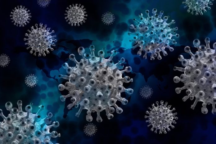 A inmunidade ante os virus varía coa idade e o estado nutricional, entre outros factores.