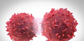 División de células tumorais. Foto: Adobe Stock