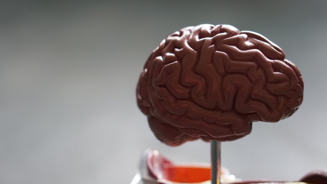 O párkinson é unha enfermidade neurodexenerativa. Foto: Unsplash