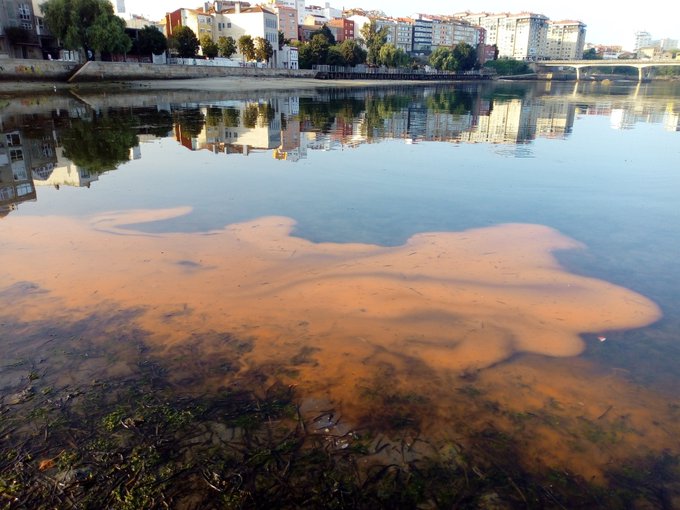 Unha marea vermella na zona de Bouzas, en Vigo. Foto: IEO