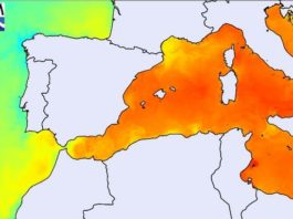 Diferenza de temperaturas da auga, sendo os verdes e amarelos máis fríos e as cores laranxas máis cálidas. Crédito: Centro de Estudos Ambientais do Mediterráneo