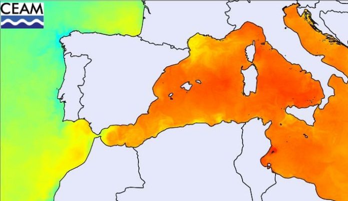 Diferenza de temperaturas da auga, sendo os verdes e amarelos máis fríos e as cores laranxas máis cálidas. Crédito: Centro de Estudos Ambientais do Mediterráneo