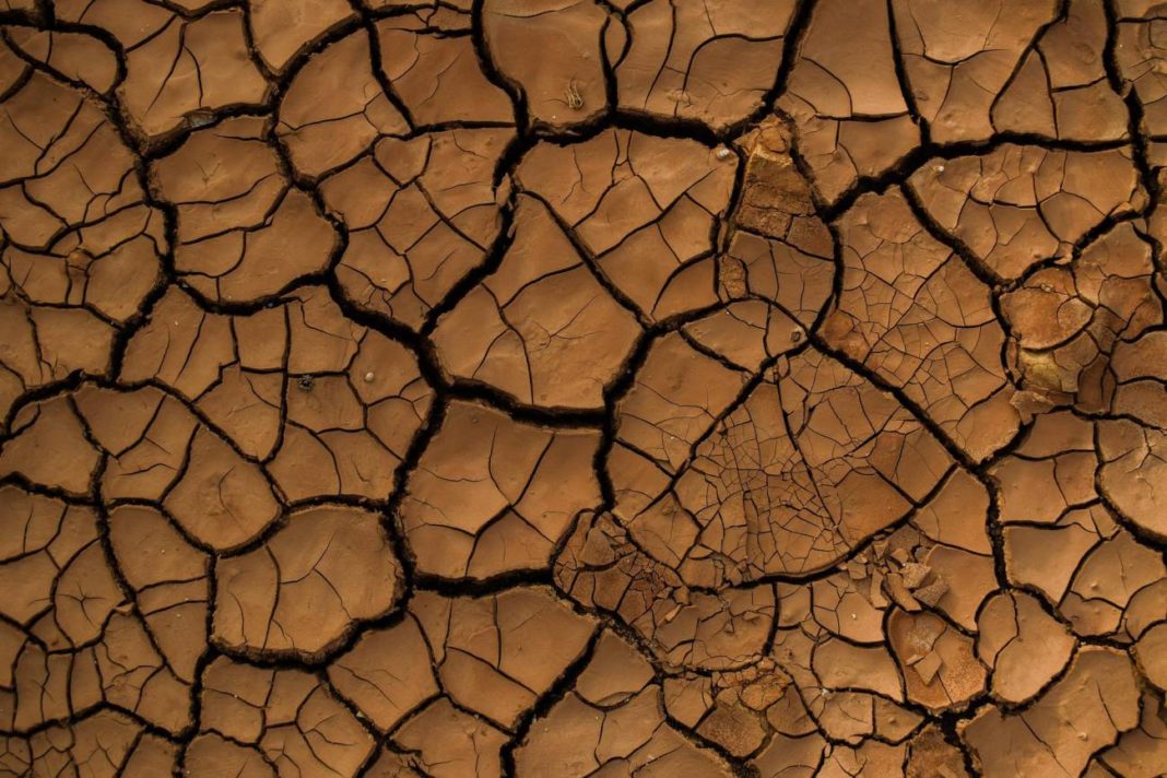 A humidade do chan diminuirá un 74% nas zonas consideradas non áridas actualmente. Crédito: Pixabay