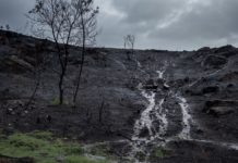 Parte dunha zona queimada en Verín, onde as chuvias arrastran ladeira abaixo as cinzas dos incendios. Crédito: Pedro Armestre / Greenpeace