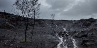 Parte dunha zona queimada en Verín, onde as chuvias arrastran ladeira abaixo as cinzas dos incendios. Crédito: Pedro Armestre / Greenpeace