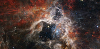 O James Webb mostra unha imaxe detallada da Nebulosa da Tarántula. Crédito: ( NASA, ESA, CSA, STScI, equipo de produción de Webb ERO