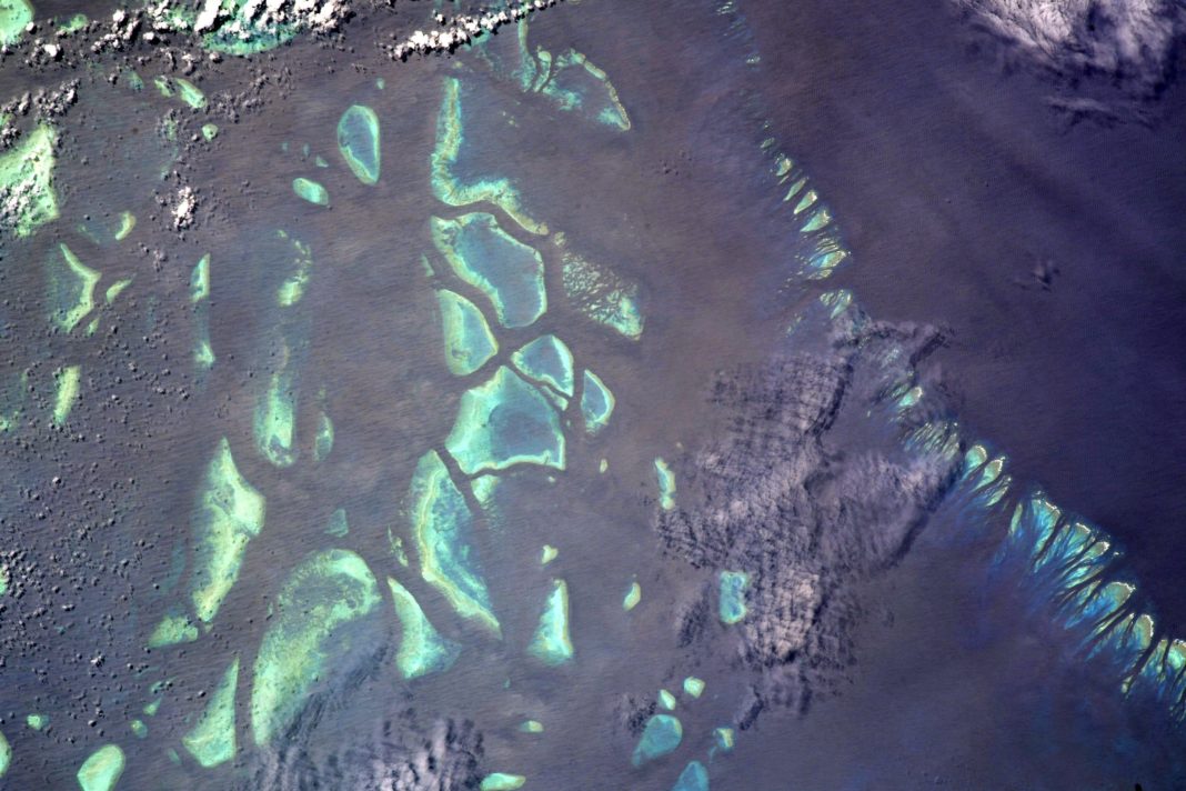 Foto satélite dunha concentración de coral capturada pola MIsión Minerva