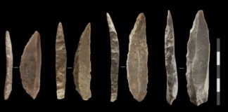 Os últimos neandertais produciron coitelos de pedra en Francia e o norte de España. Crédito: Igor Djakobic