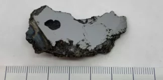 A rebanada de 2.5 onzas que contén os dous minerais novos. (Crédito da imaxe: Colección de meteoritos da Universidade de Alberta)