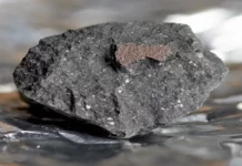 O meteorito aterrou nun camiño de entrada na cidade de Winchcombe en febreiro de 2021 (Fideicomisarios do Museo de Historia Natural)