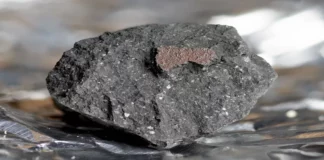 O meteorito aterrou nun camiño de entrada na cidade de Winchcombe en febreiro de 2021 (Fideicomisarios do Museo de Historia Natural)