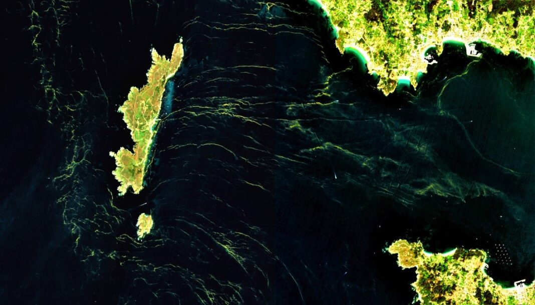 Imaxe do satélite Sentinel-2 onde se observan as floracións de mareas vermellas nas Rías Baixas o 4 de setembro de 2021. Crédito: Isabel Caballero de Frutos (ICMAN-CSIC)