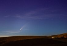 O cometa poderá verse xusto antes do amencer do 1 de febreiro.