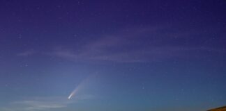 O cometa poderá verse xusto antes do amencer do 1 de febreiro.