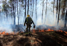 Exercicio conxunto de queima prescrita de equipos galegos e portugueses en Paredes de Coura.
