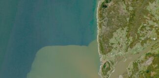 Imaxe de satélite da desembocadura do río Miño a finais de xaneiro. Crédito: Sentinel-2 / Pablo Otero / Twitter
