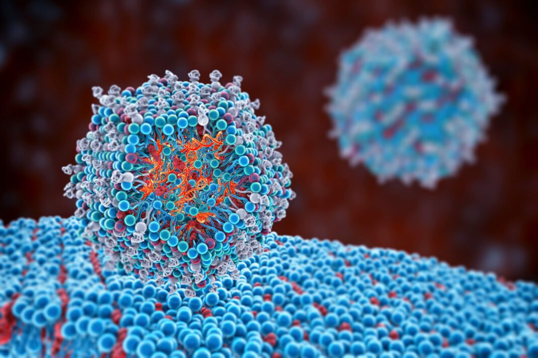 As vacinas de ARN, que protagonizaron a loita contra a covid-19, tamén se ensaian contra o cancro. Crédito: Adobe Stock