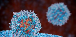 As vacinas de ARN, que protagonizaron a loita contra a covid-19, tamén se ensaian contra o cancro. Crédito: Adobe Stock
