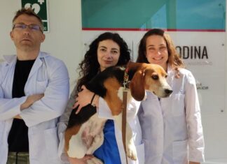 Javier Diéguez, Ángela González e Susana Muñiz de Miguel, no hospital veterinario Rof Codina.