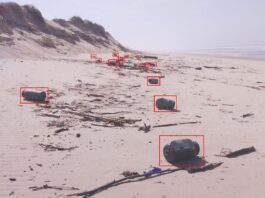 Os recadros vermellos sinalan nasas de polbo. Atopáronse na praia de Leirosa, en Portugal, en marzo de 2022. Foto: Andriolo e Gonçalves
