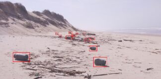 Os recadros vermellos sinalan nasas de polbo. Atopáronse na praia de Leirosa, en Portugal, en marzo de 2022. Foto: Andriolo e Gonçalves