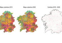 Mapas da cobertura forestal de Galicia entre 2019 e 2020. Á dereita, os cambios que se produciron dun ano ao outro.