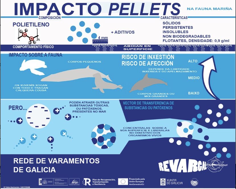 Dende a Cemma elaboran un gráfico para determinar o impacto dos pellets no ecosistema mariño. Fonte: Cemma. 