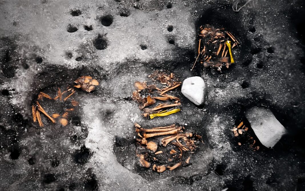 Esqueletos do xacemento brasileiro de Jabuticabeira II. Dous ósos están resaltados en amarelo para ilustrar a presenza de ADN patógeno. Foto: Dr Jose Filippini.