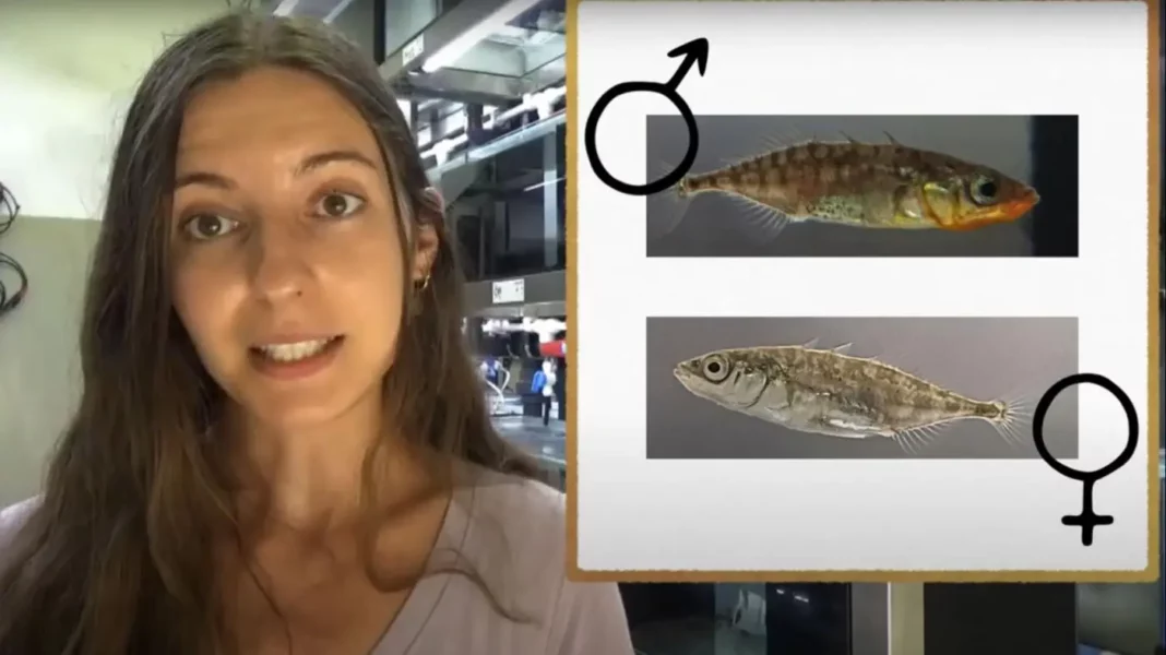 Wendy Fernández, do Grupo de Ecoloxía Animal, fíxose co premio do público na pasada edición de Youtubers Científicos.