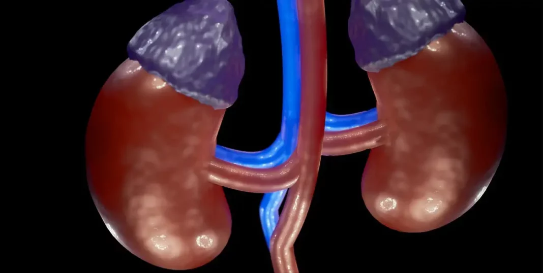 Os tratamentos domiciliaros como a diálise melloran o benestar emocional dos pacientes con enfermidade renal crónica.
