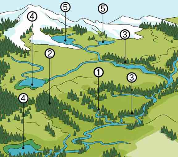 Solucións baseadas na natureza para o control e aproveitamento da escorrentía: (1) remodelado e restauración xeomorfolóxica de leitos; (2) revegetación, recuperación e mantemento de bosques; (3) renaturalización de ribeiras; (4) creación e conservación de humidais e (5) creación e conservación de lagoas e lagos. Javier Lillo, CC BY-SA