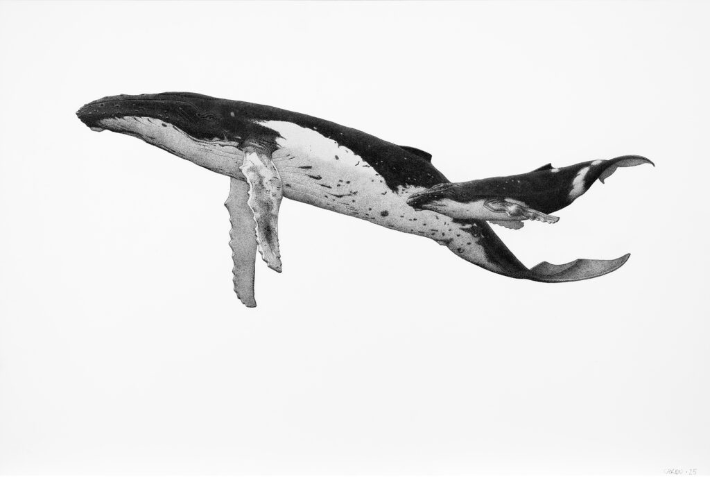 "Nai e cría", de Ricardo Mendonça Esteves Pinto. Mención especial Ilustración Naturalista