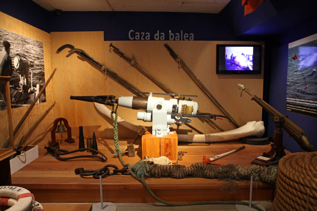 Cañón arpoeiro Konsberg no Museo Massó. Imaxe cedida por Àlex Aguilar e Max Aguilar