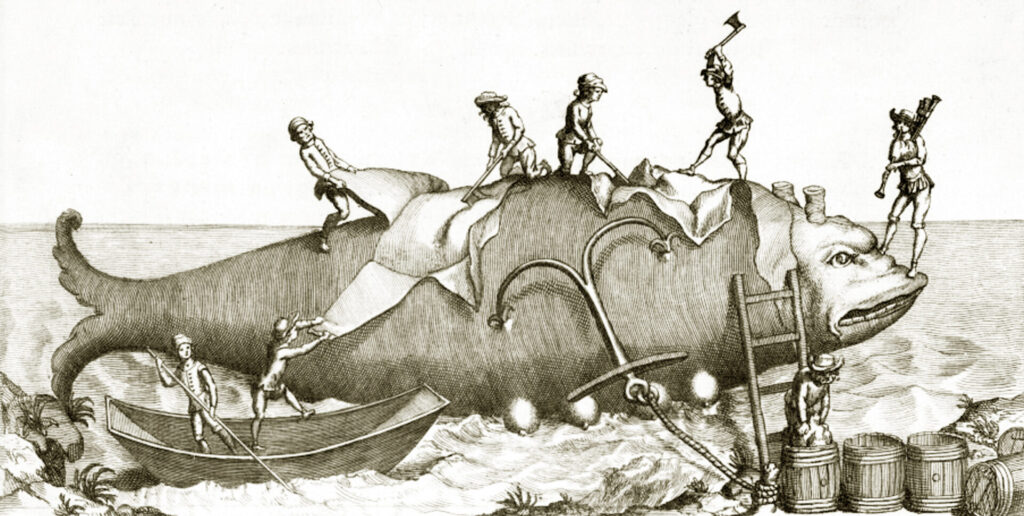 Pesca medieval de baleas. Gravado da 'Histoire Generale des drogues', de Pierre Pomet (París, 1694). Imaxe cedida por Àlex Aguilar e Max Aguilar