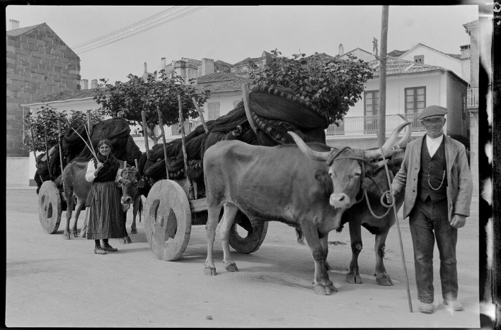 Un home e unha muller guían carros de bois que transportan redes de pesca. Imaxe: Ruth Matilda Anderson, a través da Hispanic Society of America
