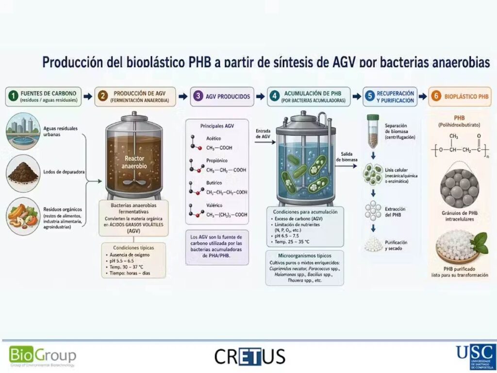 Esquema de síntese de PHB por bacterias a partir de ácidos graxos volátiles obtidos por dixestión anaerobia de augas residuais ou pola codigestión anaerobia de residuos. Gumersindo Feijoo