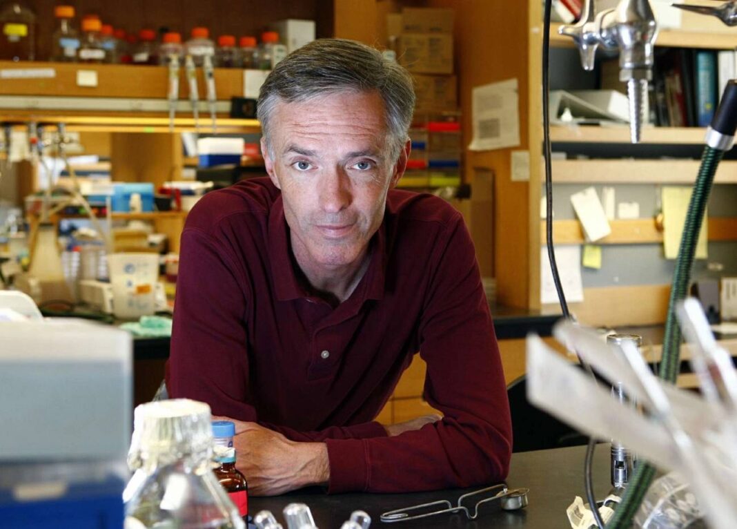 James J. Collins, profesor titular de Enxeñería Médica e Ciencias e profesor de Enxeñería Biolóxica no MIT. Imaxe: MIT