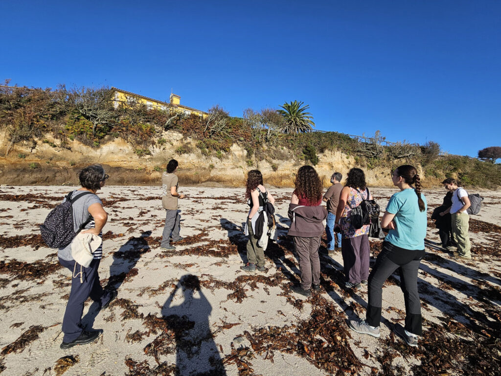 Visita escolar á escavación na Illa de Ons. Imaxe: Xunta de Galicia