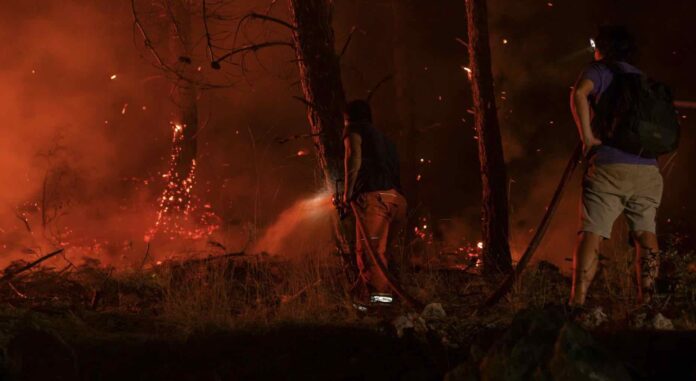 Preto da metade da superficie afectada polos grandes incendios de 2022 estaba dentro de espazos protexidos. Foto: Pexels
